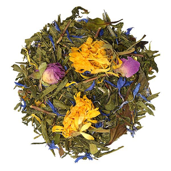 Morning Melody Morning Melody